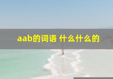 aab的词语 什么什么的